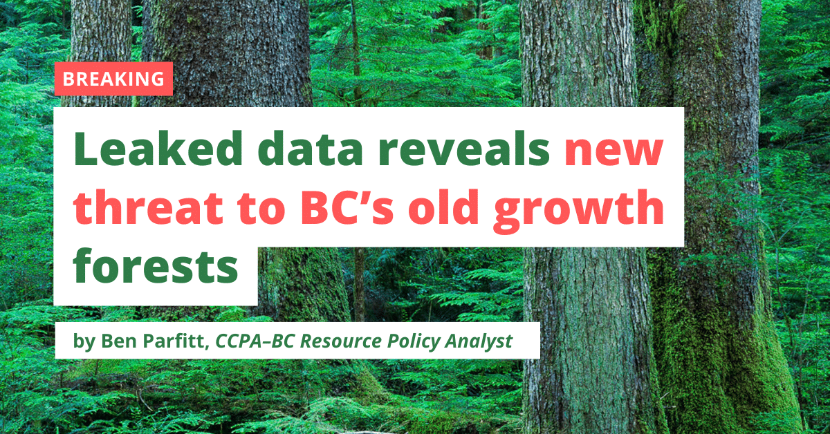 Leaked data reveals new threat to BC’s old growth forests : Policy Note