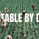 Deportable by design – banner