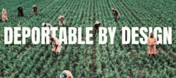 Deportable by design – banner